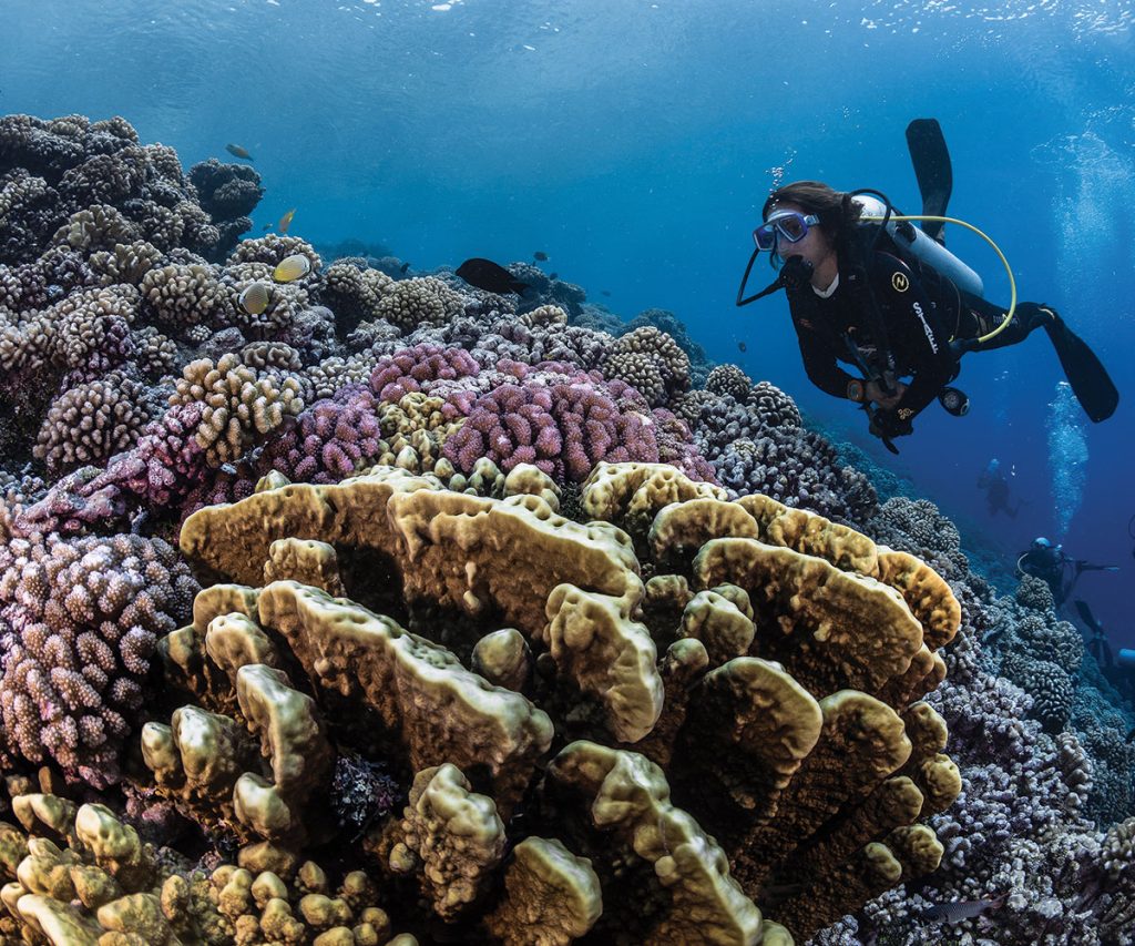 Discover History by Diving Shipwrecks - Tahiti Tourisme